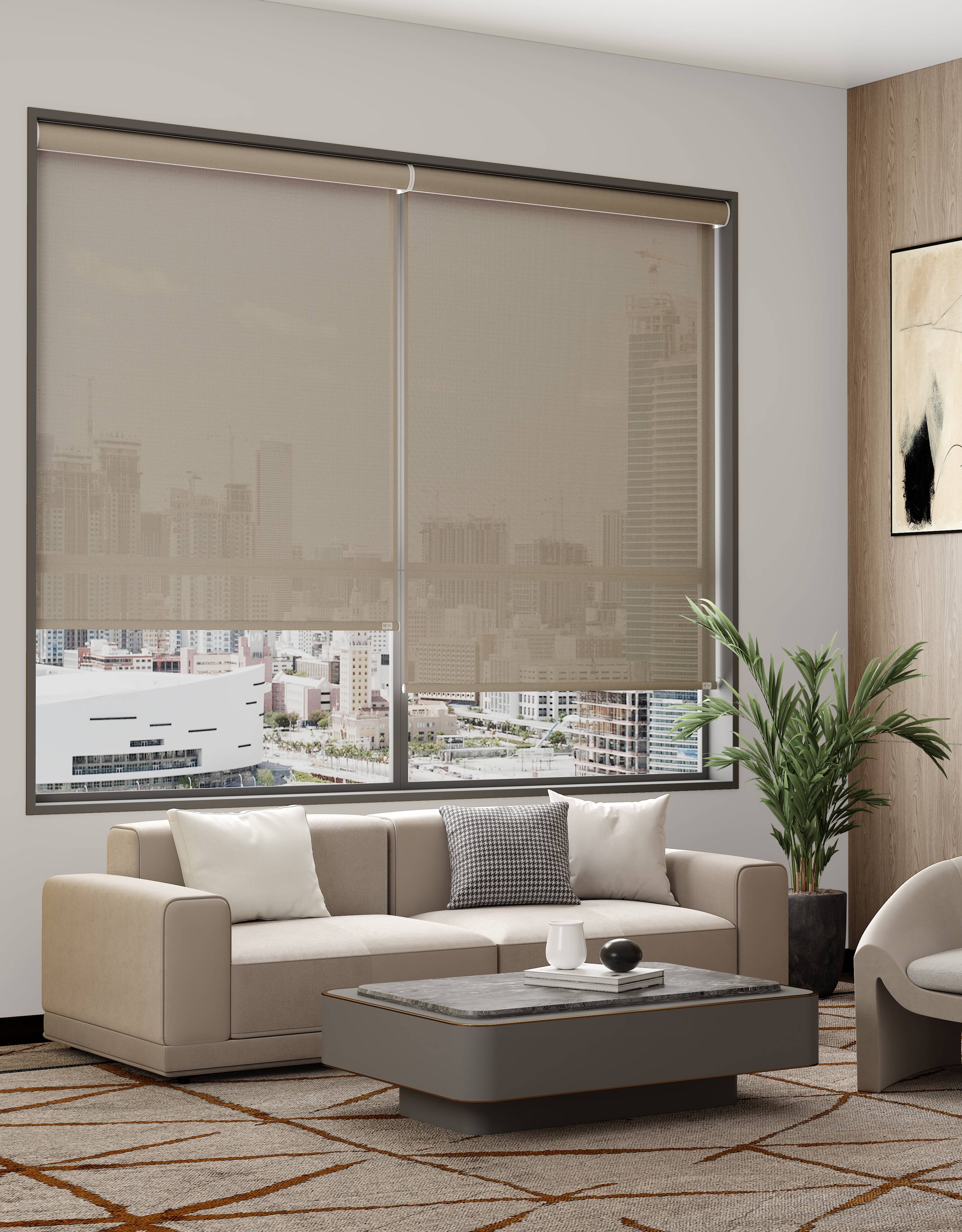 blinds-inside mount.jpeg