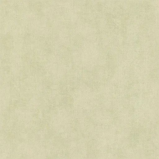 1037448.webp