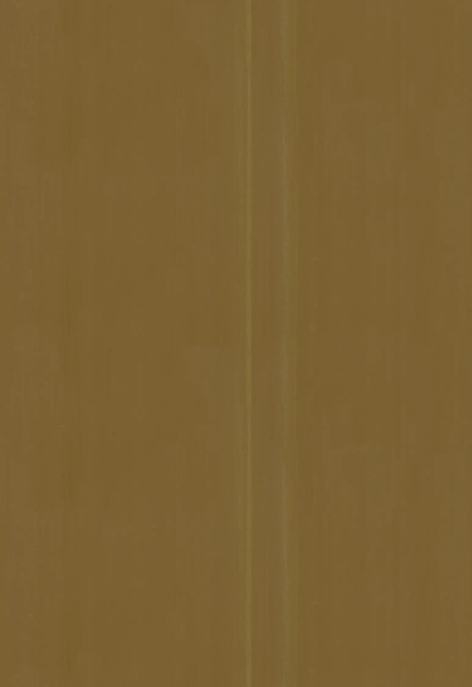 1086594.webp