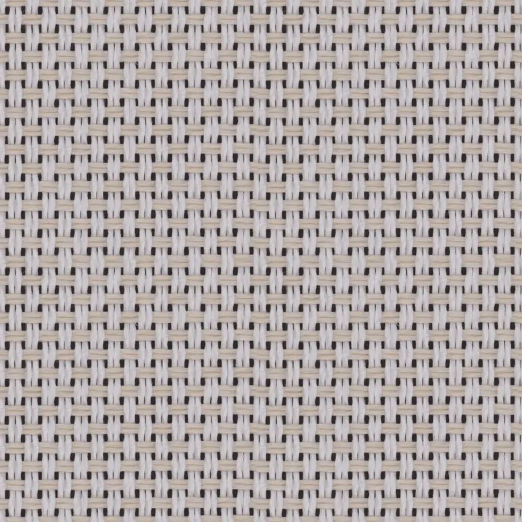 1095793.webp