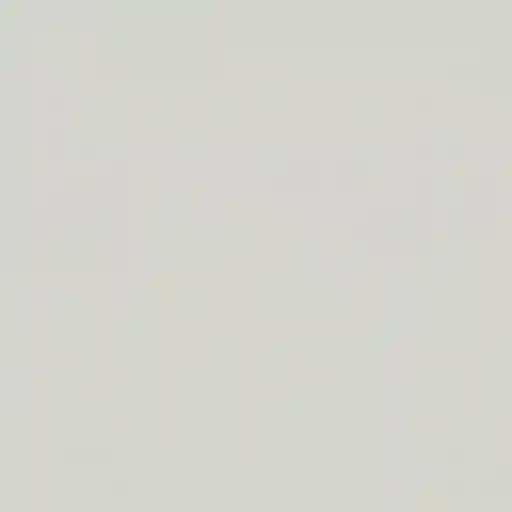 1250923.webp