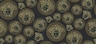 100DWPR-38611-7