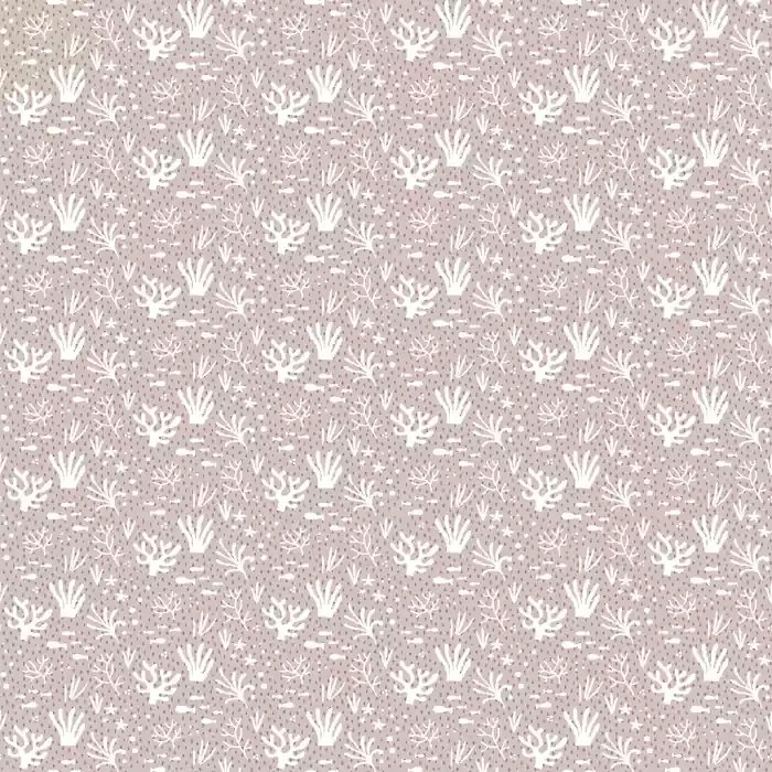 1786525353_44660d3cf792418c1826.webp