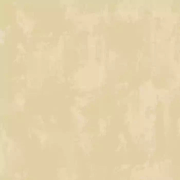 1786599706_016a07c4e6a19f16b1a3.webp