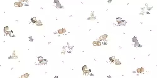 1787120855_f730317643ce69f01647.webp