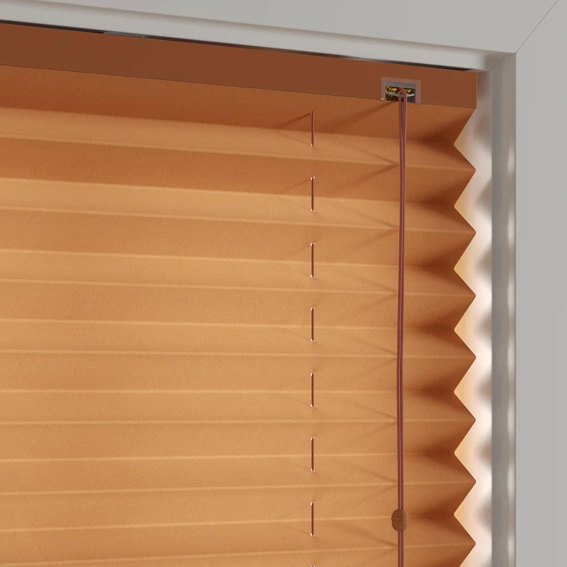 Standard Pleated Blinds