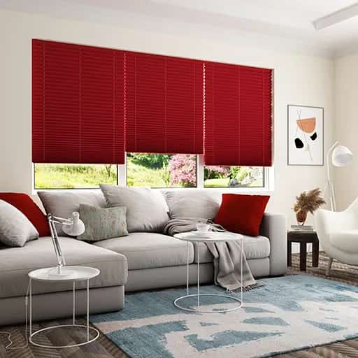 Standard Pleated Blinds