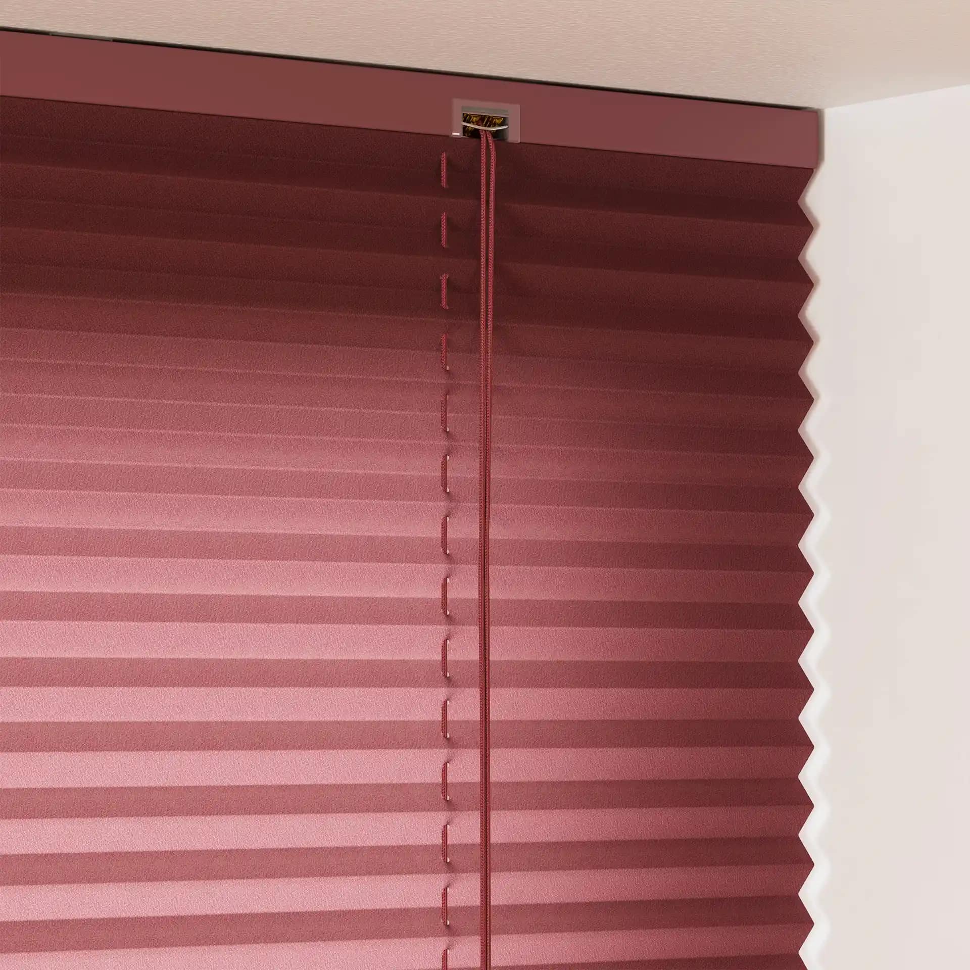 Standard Pleated Blinds