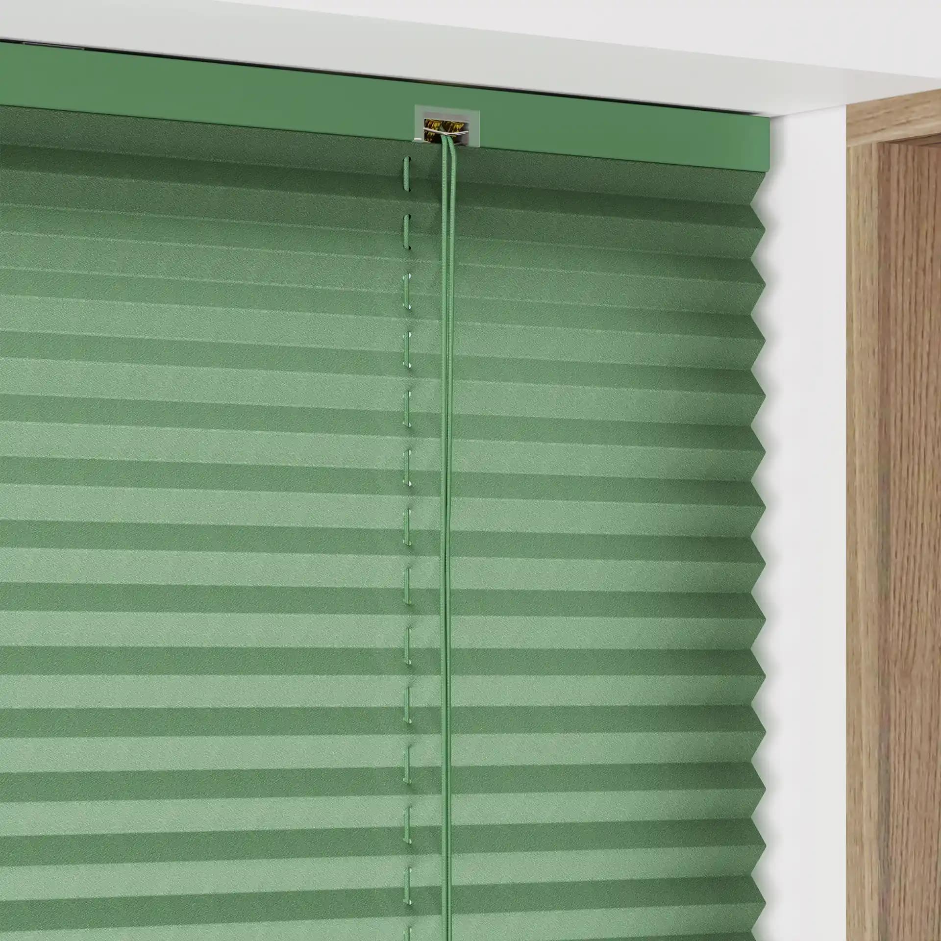 Standard Pleated Blinds