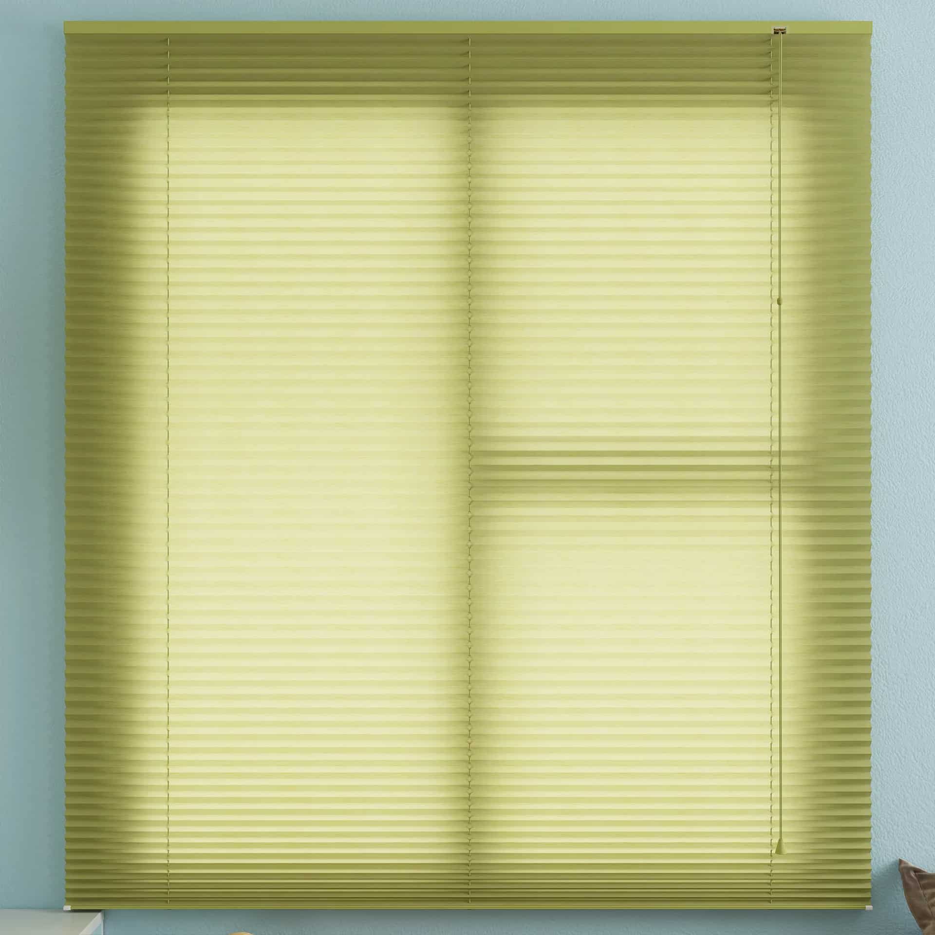 Standard Pleated Blinds
