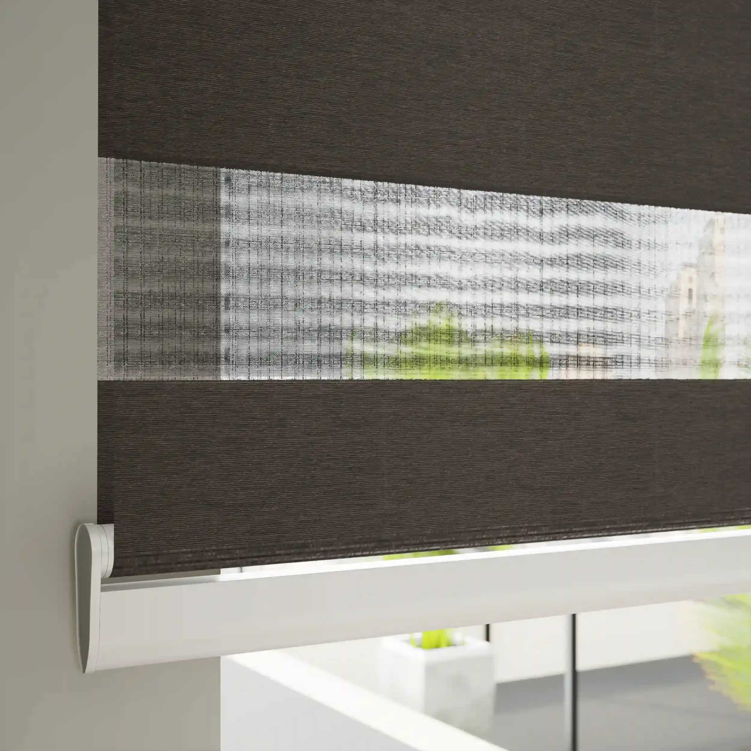 CS Zebra Blinds