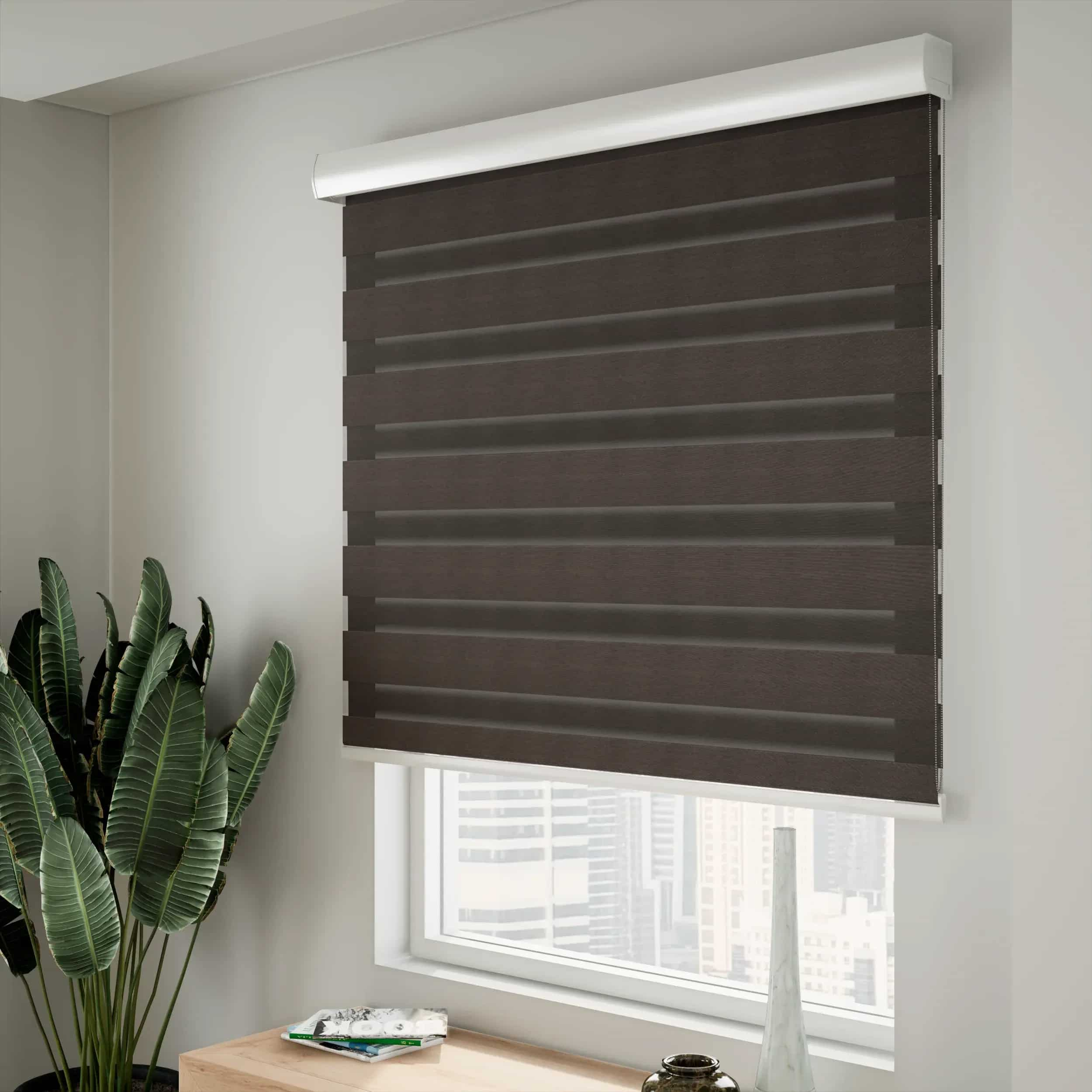 CS Zebra Blinds