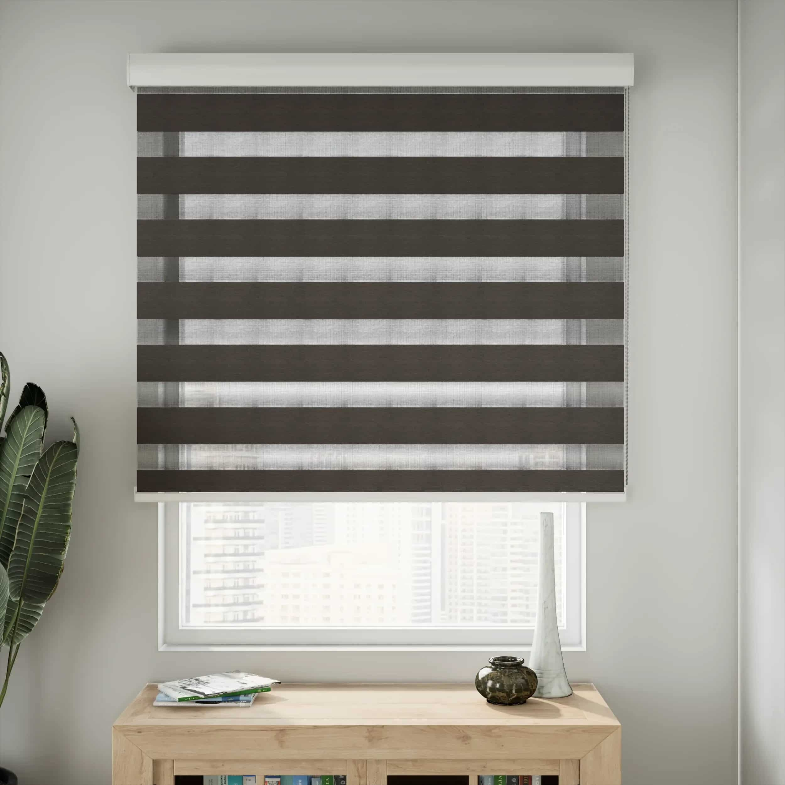 CS Zebra Blinds