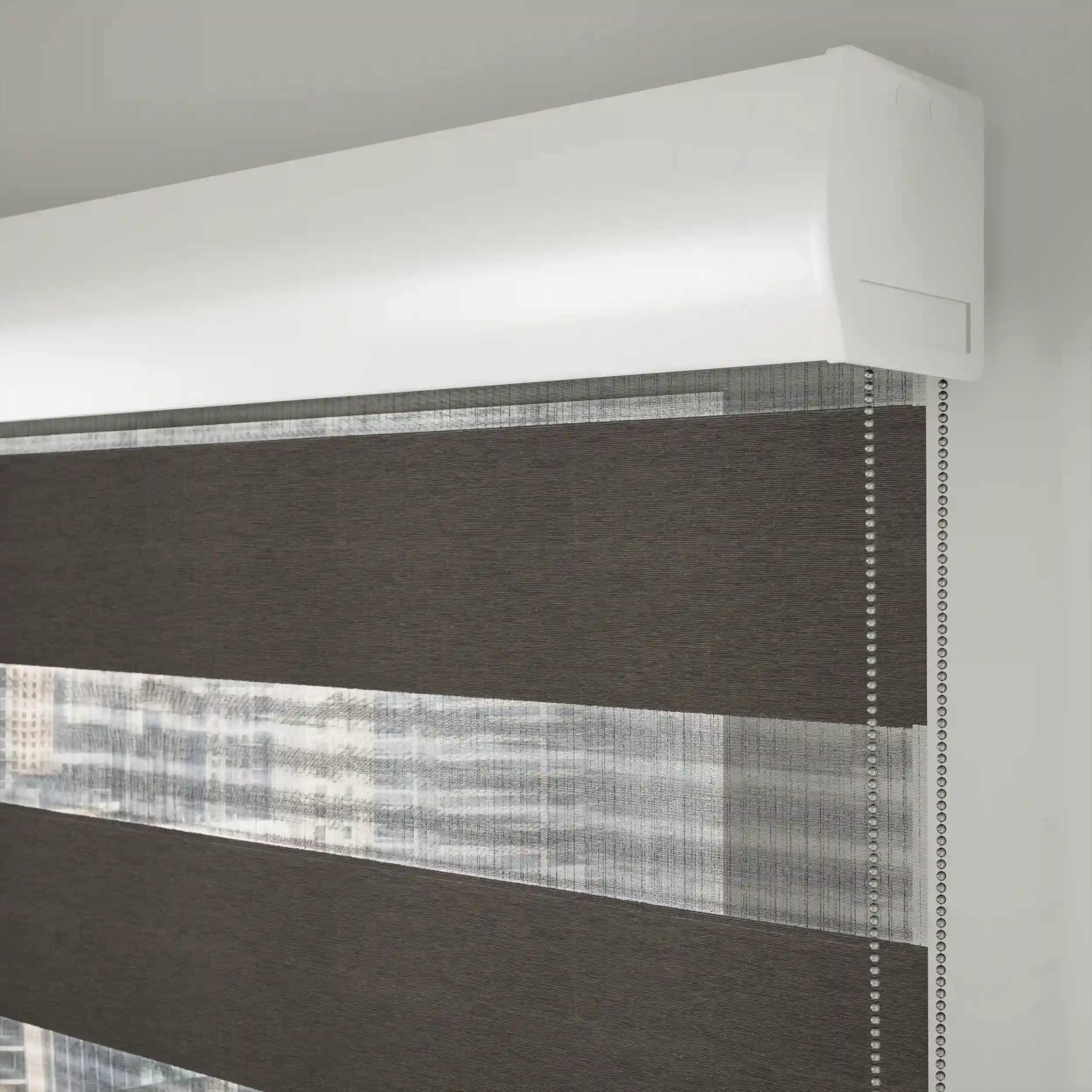 CS Zebra Blinds