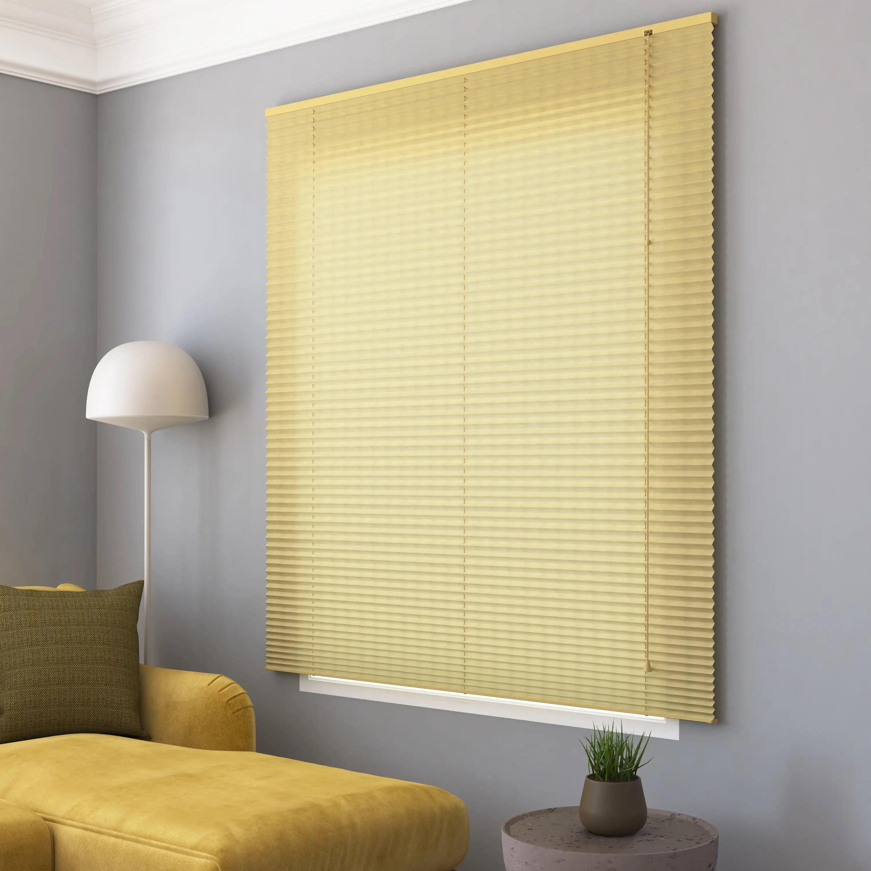 Standard Pleated Blinds